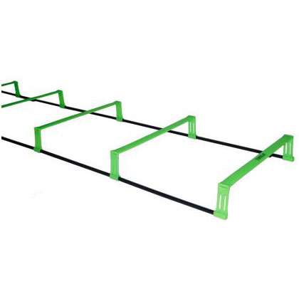 ラダートレー　21日終了 619YoZNCRPL._UF350,350_QL50_.jpg