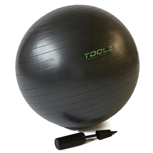 [全身トレーニングに]トップスピン(TOPSPIN) ／ツールズ(TOOLZ) ジムナスティック エクササイズボール 55cm LS3222-TZGNB55(21y1m)