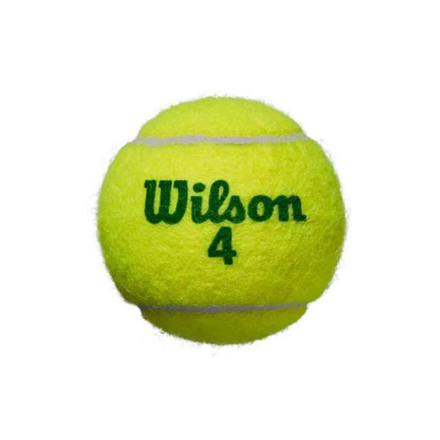 72球セット」ウィルソン(Wilson) STARTER PLAY GREEN 4 スターター