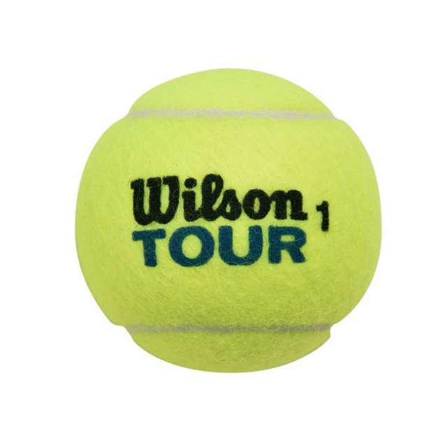 4球入り ウィルソン Wilson Tour Standard ツアースタンダード テニスボール 練習球 Wrt 21y3m