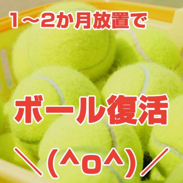 テニスボール用】テニス馬鹿 大容量プレッシャライザー 約70球対応