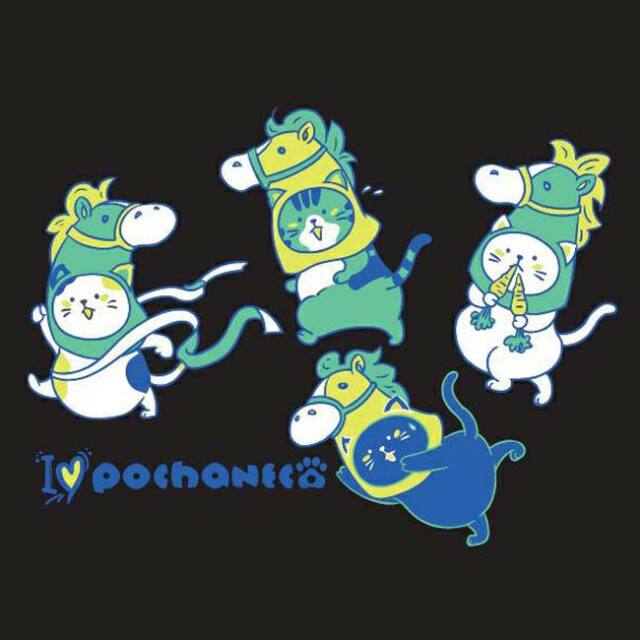 売切り終了！在庫処分特価】【日本サイズ】ゴーセン(Gosen) 2025 FW