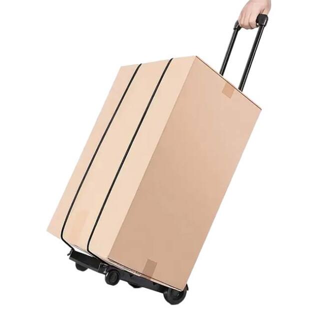 【8日から72時間 8%OFFクーポン】【スポーツシーンやアウトドアに】 ポータブルキャリーカート 伸縮可能 折りたたみトロリー フック付き安全ロープ付属 荷物運び TE909948 ブラック(25y10m)