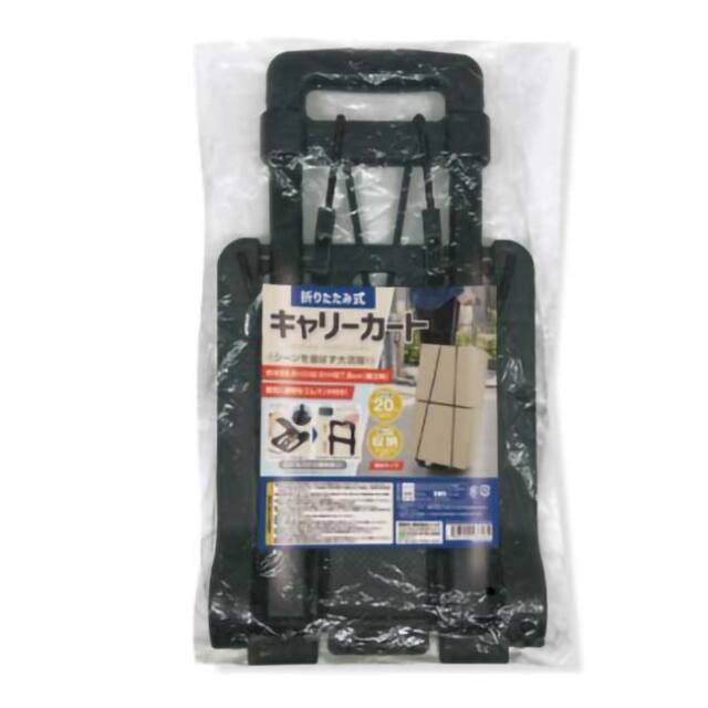 バッグと椅子付き段差キャリー　ダンボール箱入り　取り扱い説明書付きです。 31vgNPJvVOL.jpg_BO30,255,255,