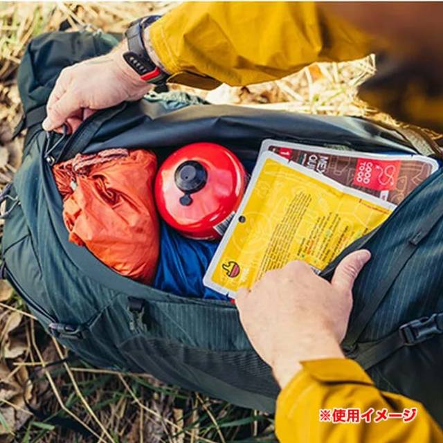 初売フライング！最大11%OFF】グレゴリー(Gregory) 2025 SP メンズ