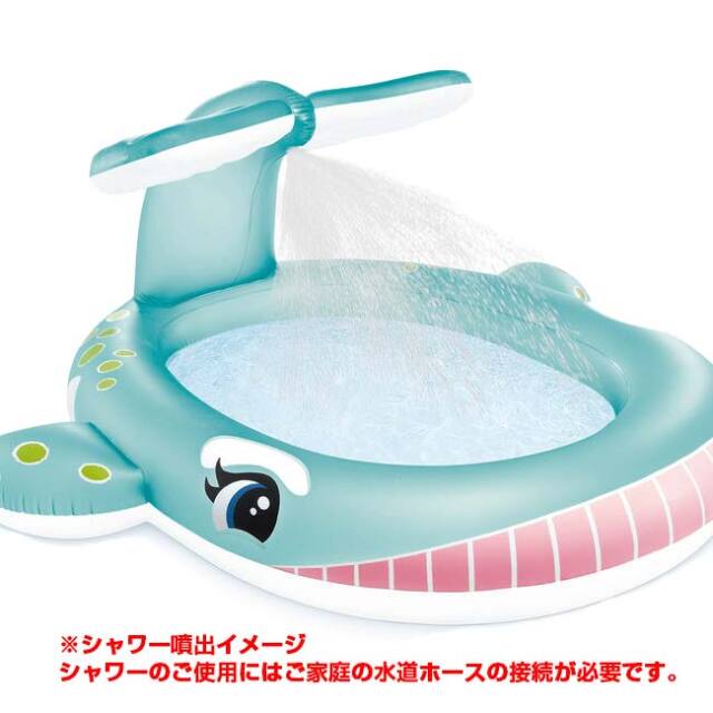 タイドプール　あごべんセット95g ×12 グランドプール 4m×2.11m×81cm /B: デコレーション | タカショー