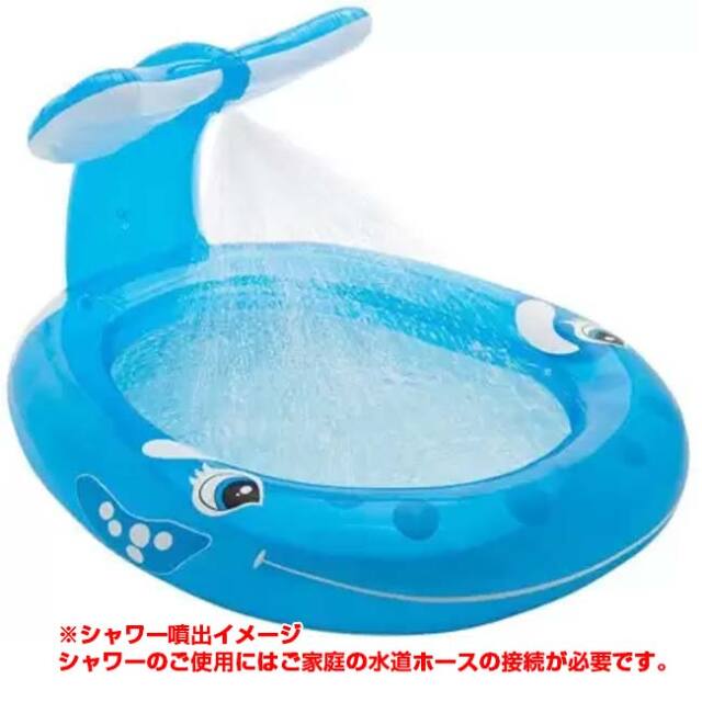 初売フライング！最大11%OFF】INTEX(インテックス) ホエール スプレー