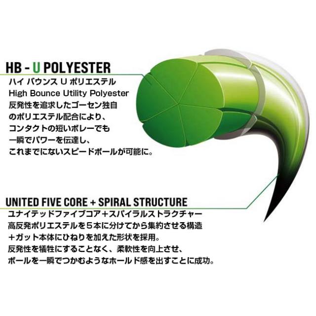 マジッククーポン10％OFF対象】「単張パッケージ品」ゴーセン