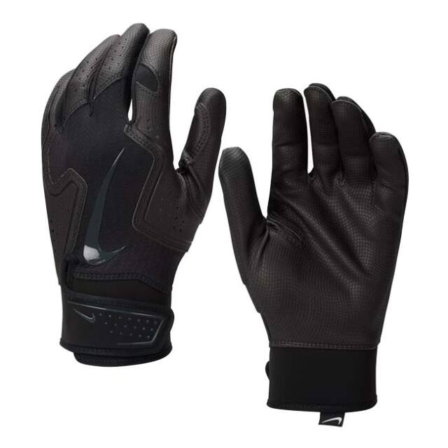 ナイキ(NIKE) ユニセックス Alpha アルファ 2.0 バッティンググローブ 両手用 野球 BA1201-086 ブラック×アンスラサイト(26y4m)