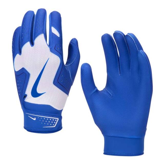 【9,000円以上で8％OFFクーポン】ナイキ(NIKE) ジュニア Alpha 2.0 アルファ2.0 ユース バッティンググローブ 両手用 BA1202-176 ホワイト×ゲームロイヤル(25y10m)