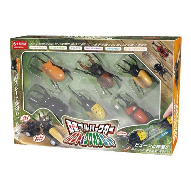 虫の王出品 本日の収穫 INSECT DISCOVERY にて、虹王（OYKインセクト？）さんの虫