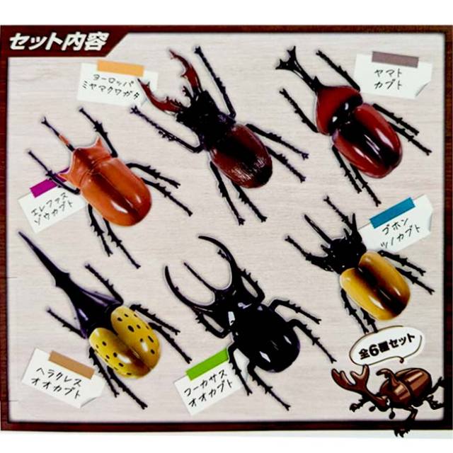 白熱のスピード昆虫バトル】ハック(HAC) 激突プルバックカー カブト