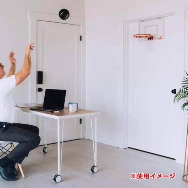 テック(Tekk) ミニバスケットボール フープ プロエディション