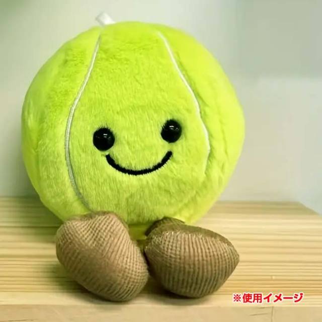 かわいい「ぬい」を連れてでかけよう♪】 デリケートボール