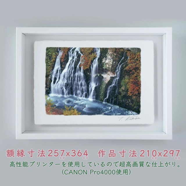滝純一、【残された島】、希少な額装用画集より、状態良好、新品額装付 思想ではなく直感。超自然的な力に取り憑かれた芸術家、横尾忠則さんに