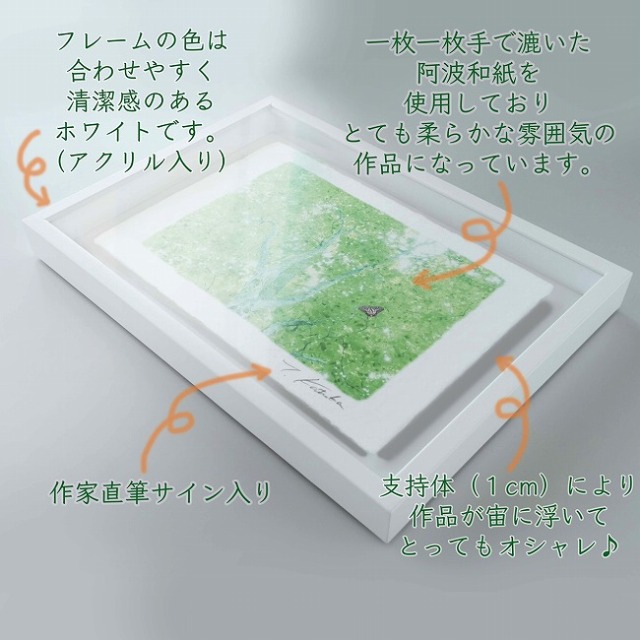 プロカメラマン片岡司 光画「秋色の滝」 B4サイズ 光で描く絵 手漉き