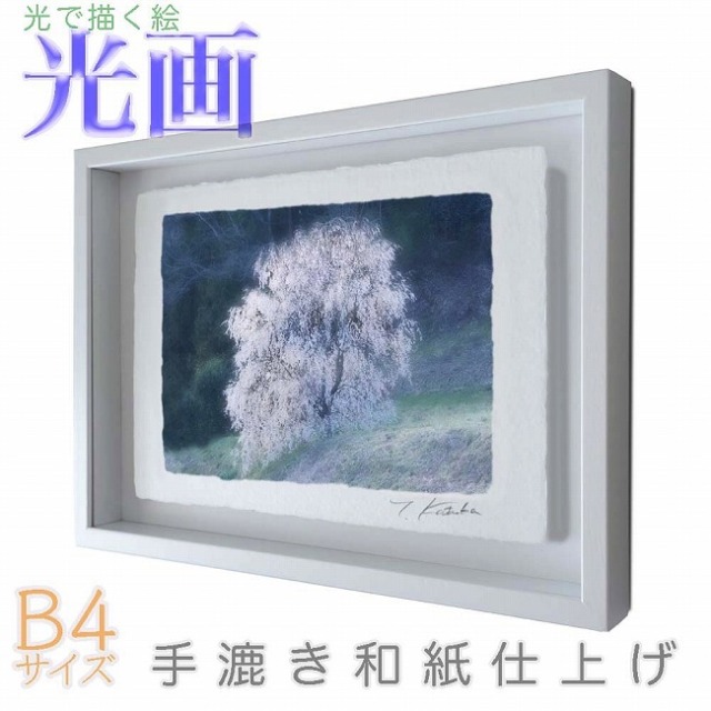 プロカメラマン片岡司 光画「桜の妖精」 B4サイズ 光で描く絵 手漉き