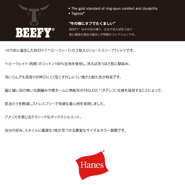 (ヘインズ) Hanes 【2枚組】2P BEEFY-T Tシャツ ビーフィーT H5180-2 メンズ レディース