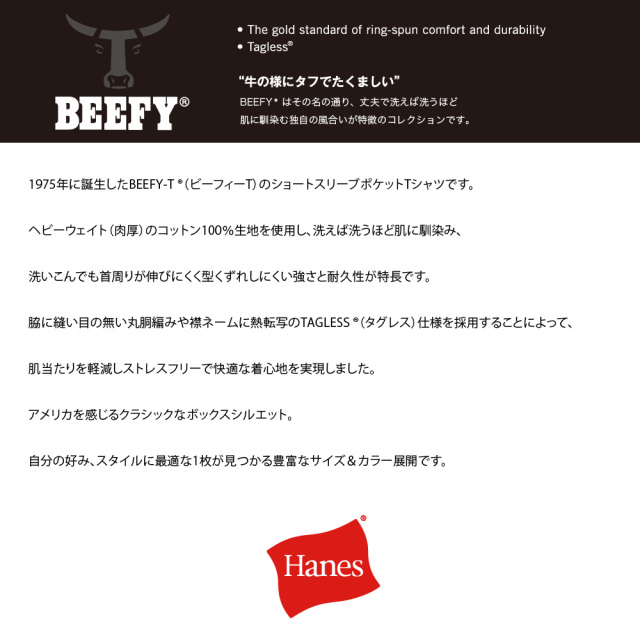 (ヘインズ) Hanes ポケットTシャツ 半袖 BEEFY-T ビーフィーT H5190 メンズ レディース