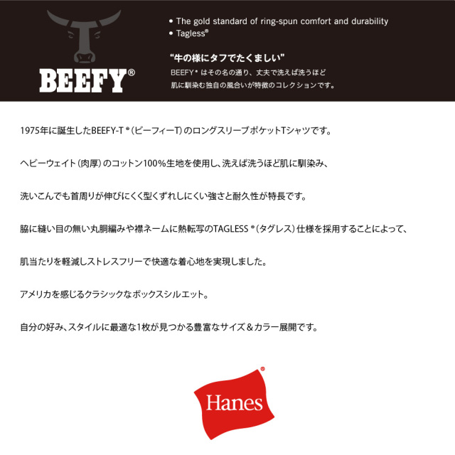 (ヘインズ) Hanes ポケットTシャツ 長袖 ロンT BEEFY-T ビーフィーT ロングスリーブ H5196 メンズ レディース