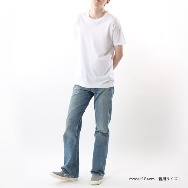 (ヘインズ) Hanes 【2枚組】 ジャパンフィット Tシャツ クルーネック H5320 メンズ レディース