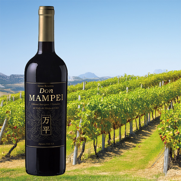専用箱付き）グランレゼルバ（万平ワイン）チリ産～2023（赤） [750ml