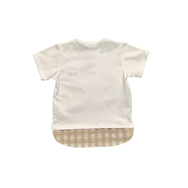重ね着風Ｔシャツ