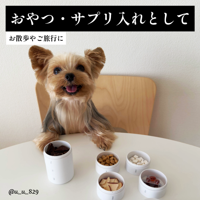 劇場版どうぶつの森 ミニ缶サプリケース 劇場版どうぶつの森 ケース その他