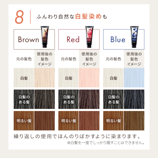 エブリ カラートリートメント ラージ(260g) 選べる2本セット