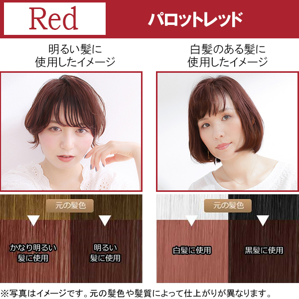 エブリ ヘアカラー 医薬部外品 エブリ ヘアカラー 医薬部外品