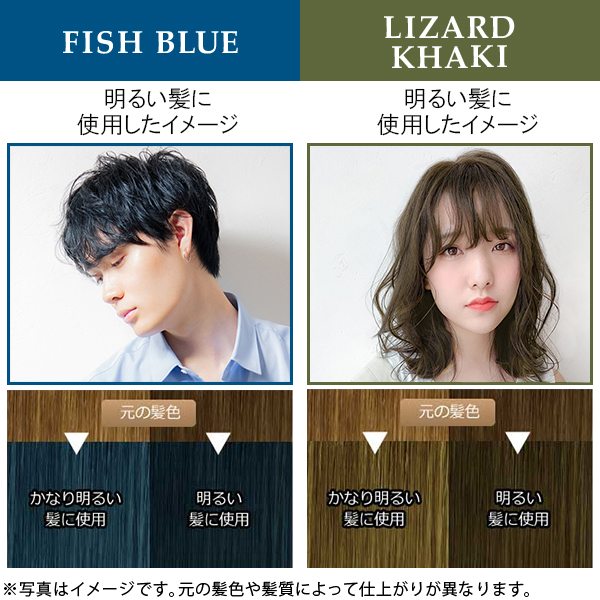 エブリ ヘアカラー（医薬部外品）