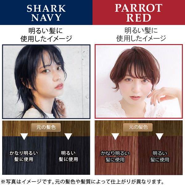 エブリ ヘアカラー（医薬部外品）