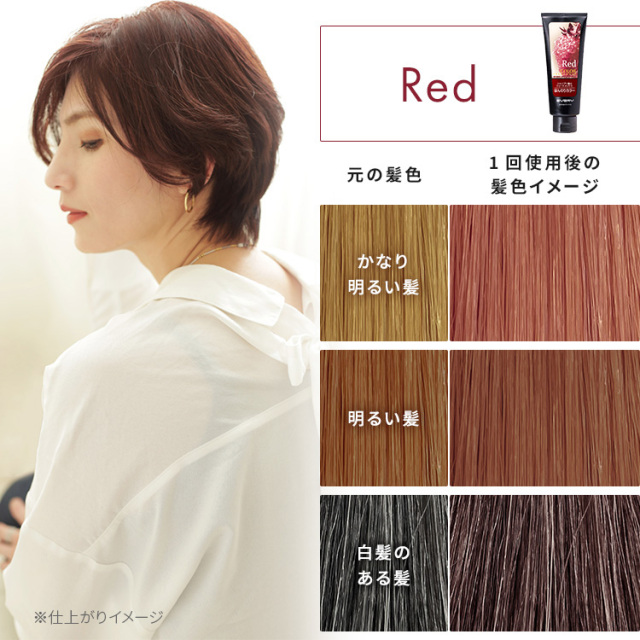 エブリ カラートリートメント ラージサイズ 260g 単品