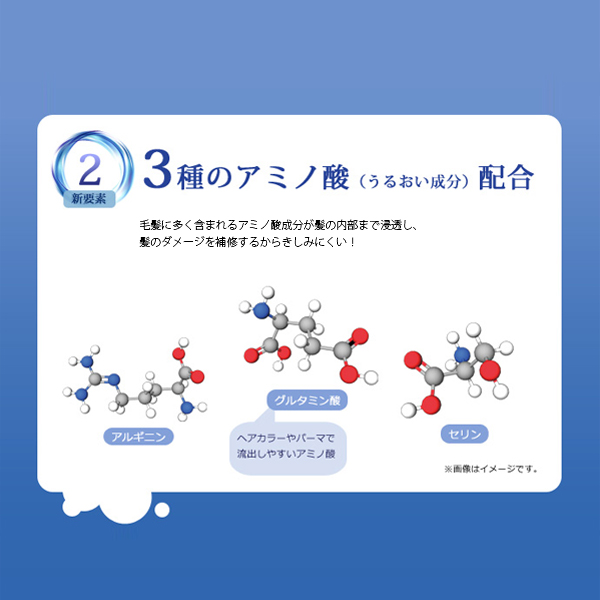 エブリ　むらさきシャンプー　むらさきトリートメント　3種のアミノ酸配合