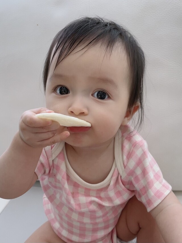 selva secreta baby】オーガニックコットン生地ギンガムチェック
