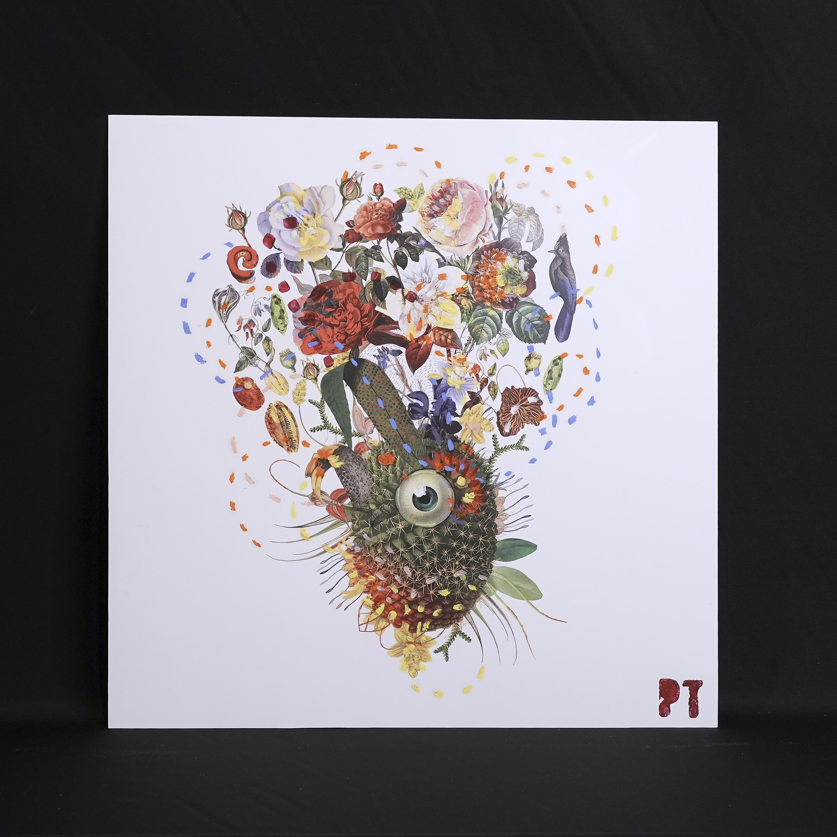 イタリア 2023年 ペーパー Paola Tassetti - 「SUCCULENTA　CUSCINO DELLA NONNA e ROSA (RITRATTO FAMIGLIA) 」 EC-07599