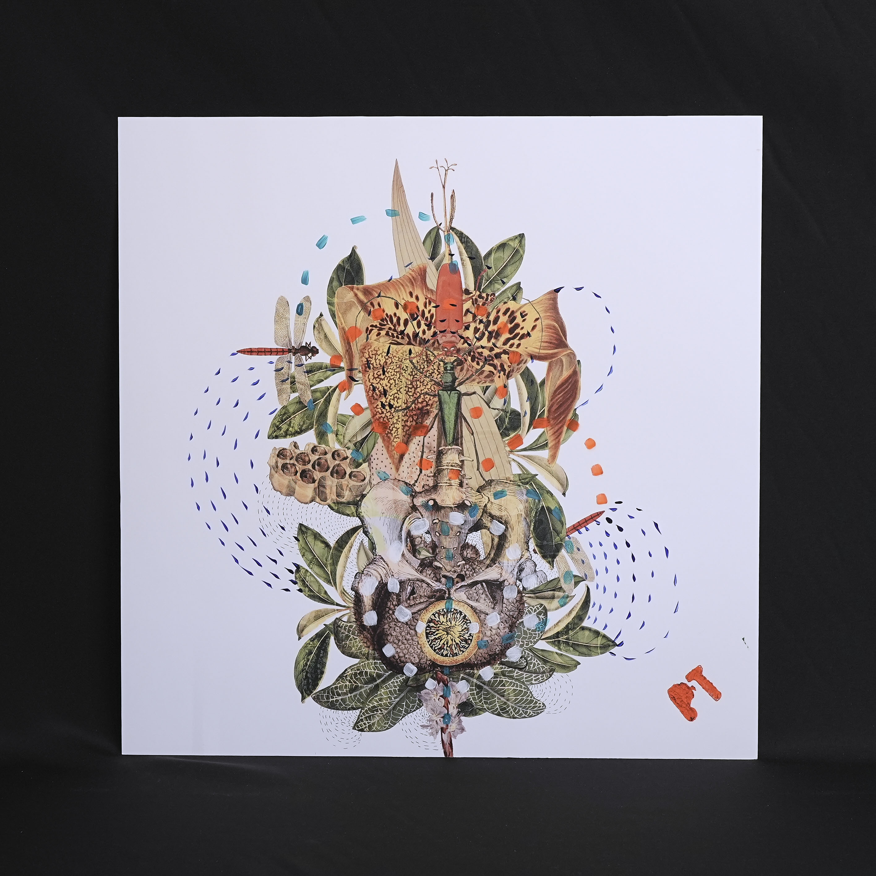 イタリア 2023年 ペーパー Paola Tassetti - 「METAMAORFOSIDEL GIGLIO」 EC-07608