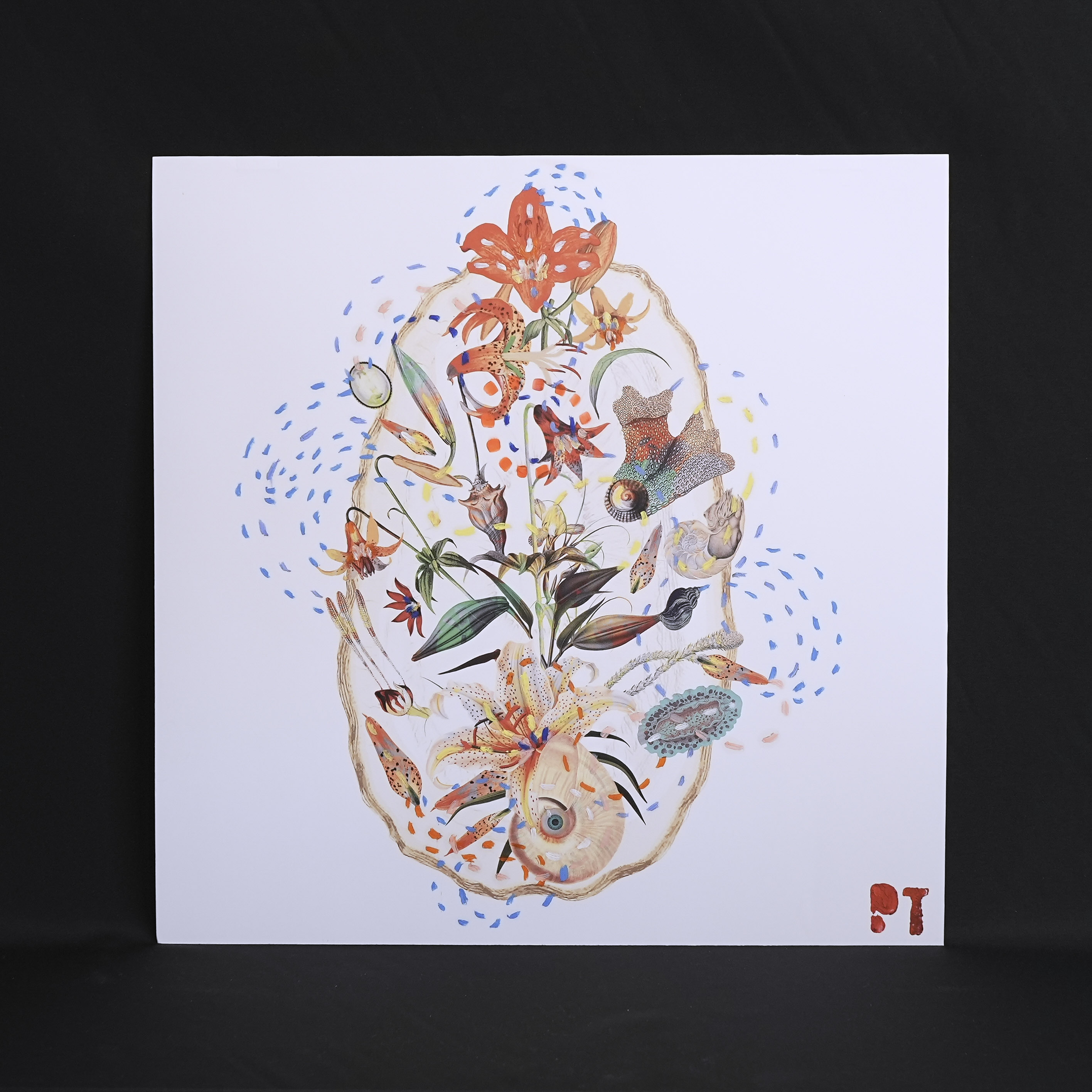 イタリア 2023年 ペーパー Paola Tassetti - 「?CAMEO」 EC-07609