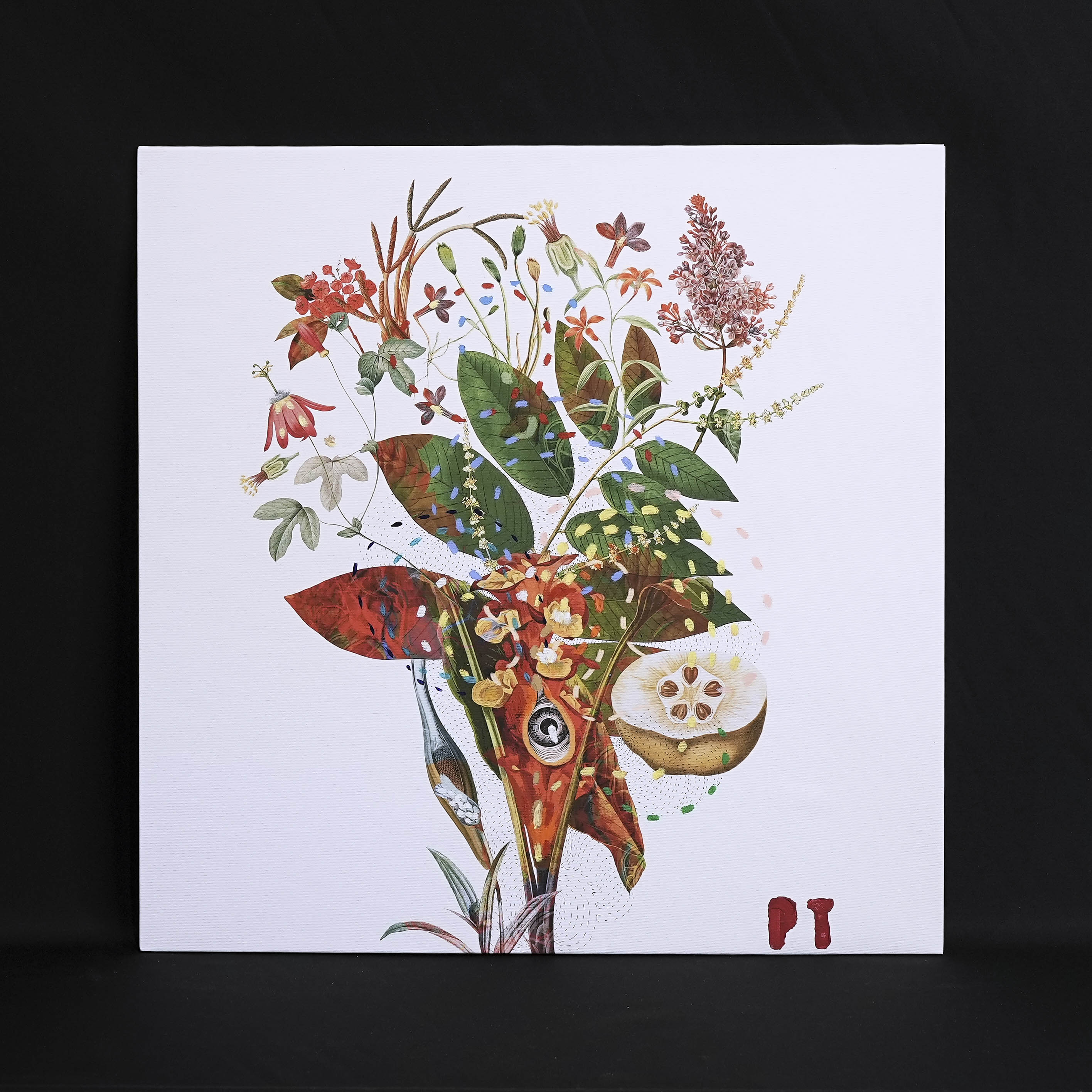 イタリア 2023年 キャンバス Paola Tassetti - 「CURCUMA」 EC-07610