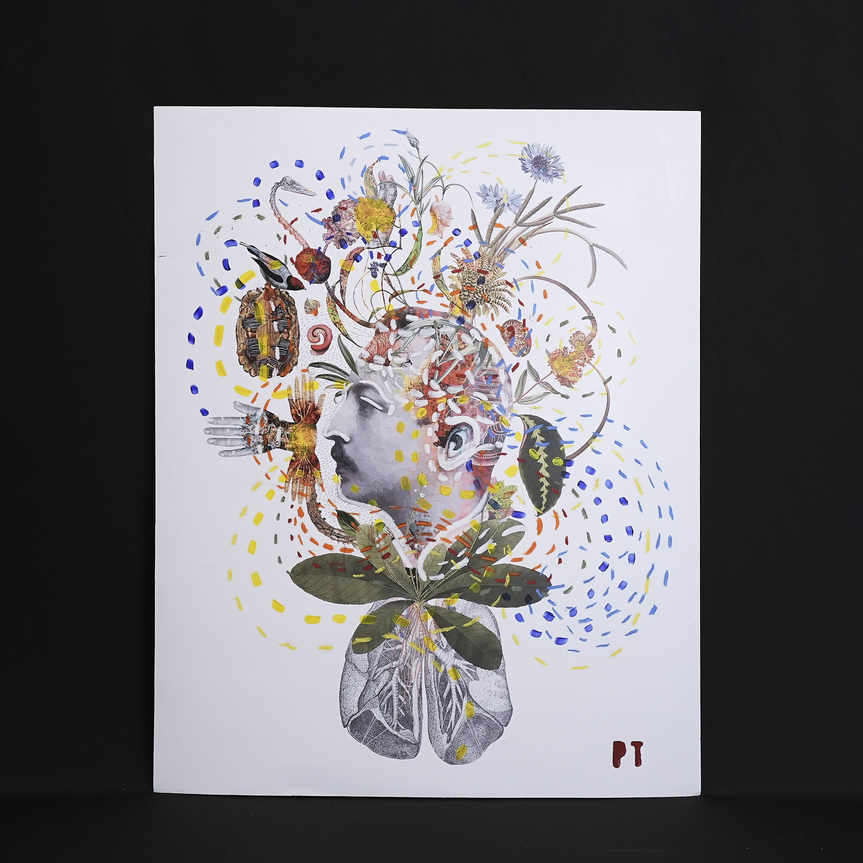 イタリア 2023年 ペーパー Paola Tassetti - 「IL GIARDINO DI BRUNO MUGLLINI」 EC-07612