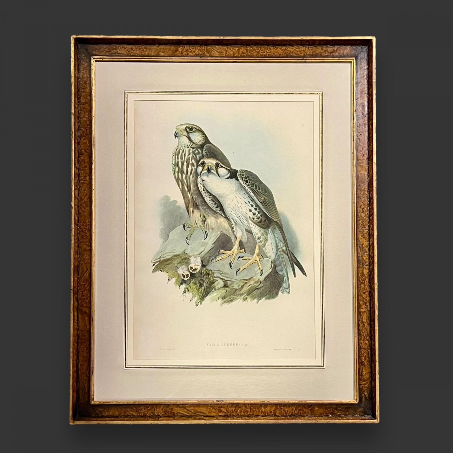 イギリス 19世紀 キャンバス 絵画 EC-14990