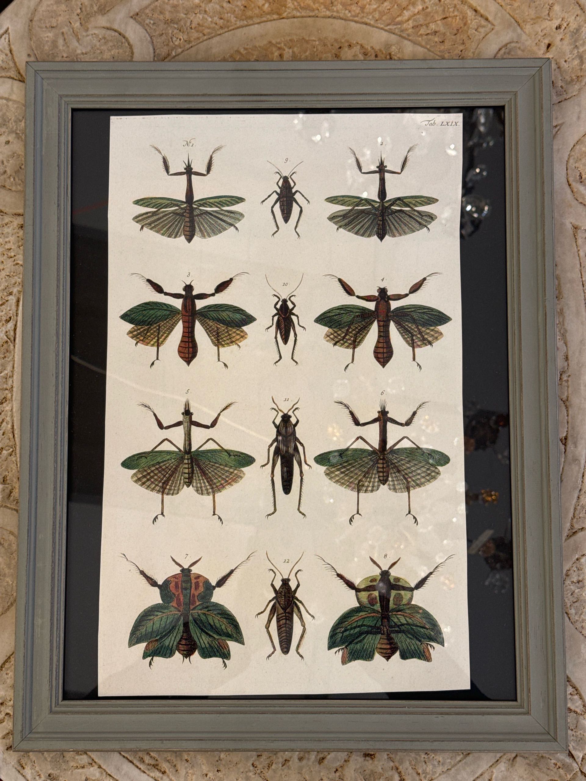 イタリアで購入した絵 Nov. 21, 2025 9 cm x 9 cm (app. 4