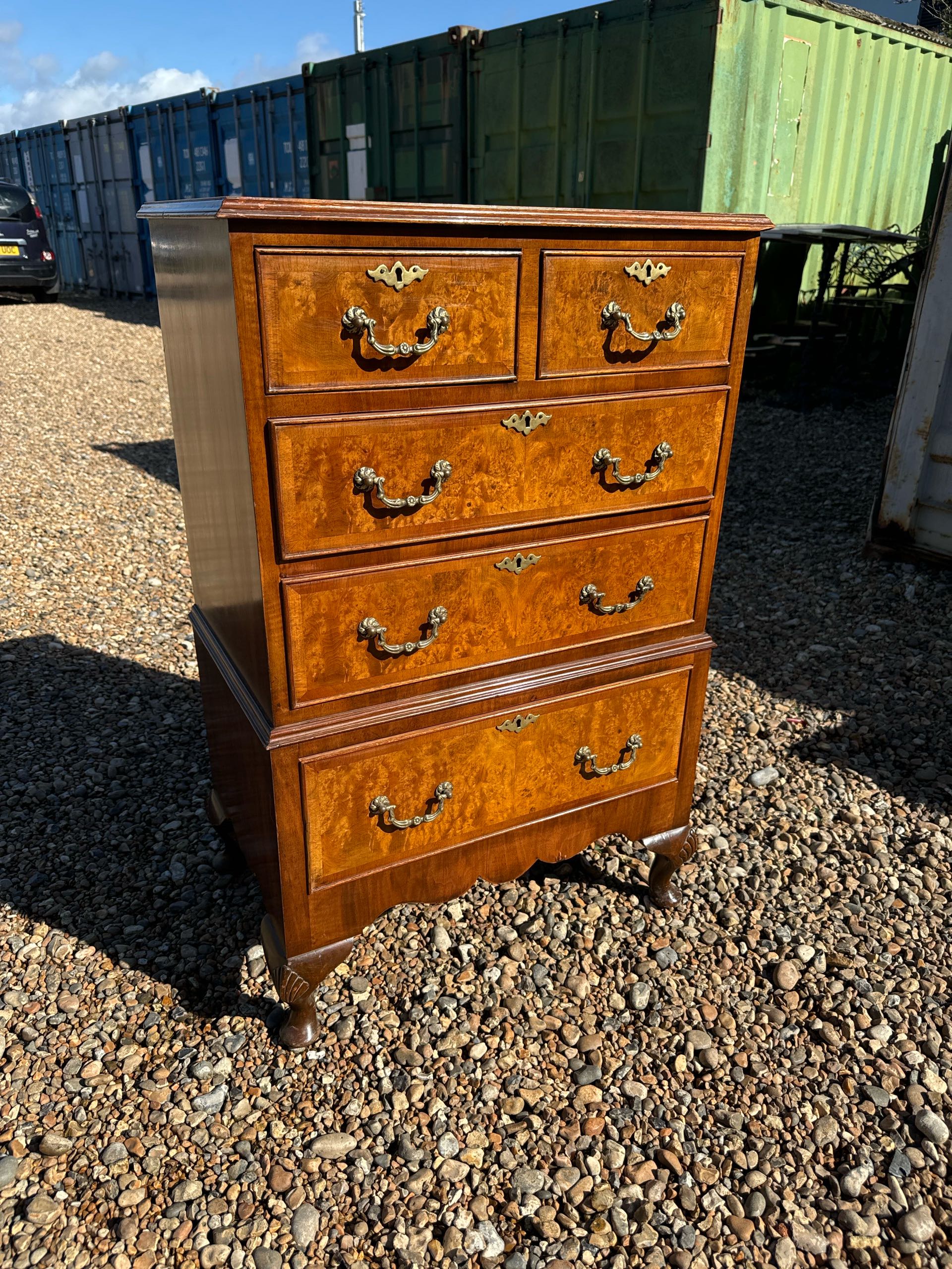 1930年代 ウォールナット チェスト