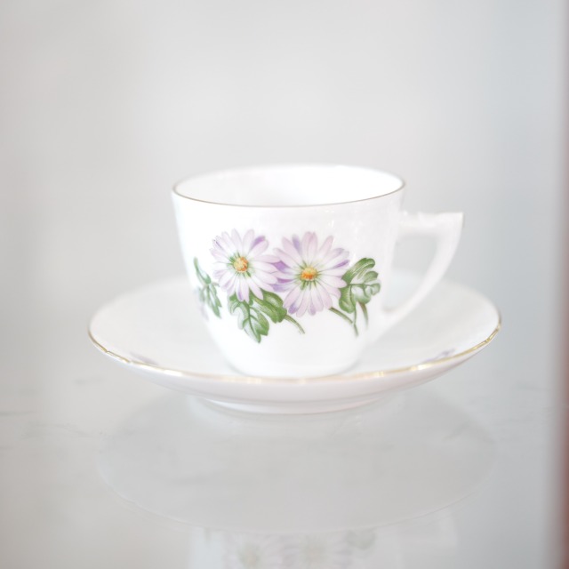 デンマーク製 ビングーオーグレンタール 花紋 カップ＆ソーサー アンティーク 1960年代