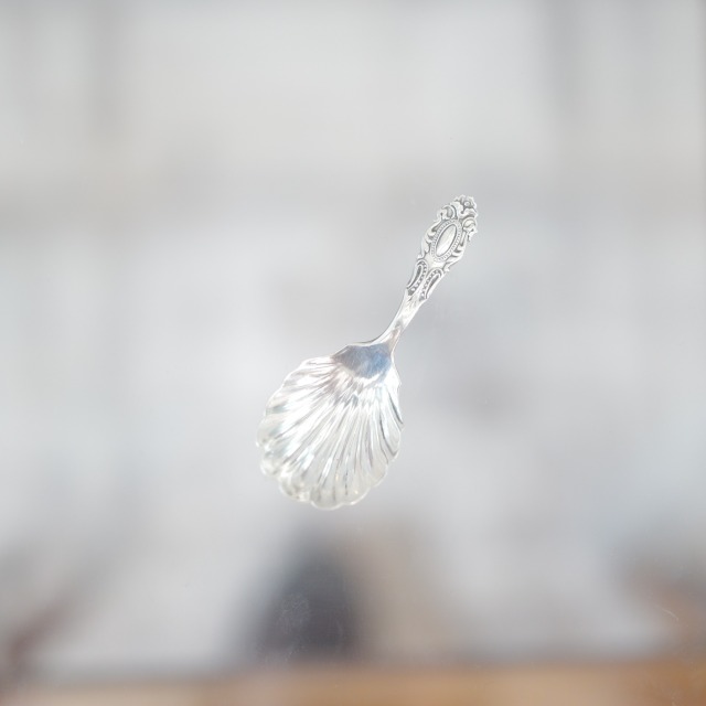 純銀製1909年 ロンドン製 シェル型ティ―キャディスプーン イギリス アンティーク