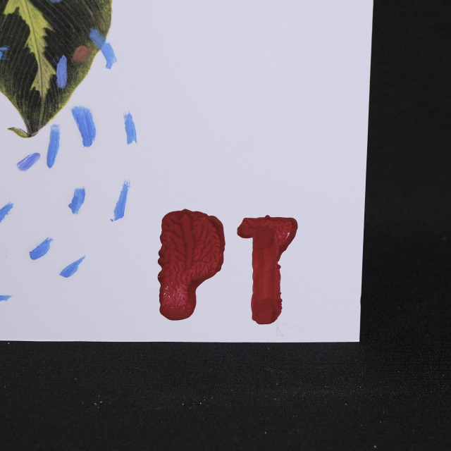 イタリア 2023年 ペーパー Paola Tassetti - 「BOUGANVILLE」 EC-07598