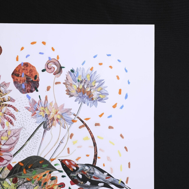 イタリア 2023年 ペーパー Paola Tassetti - 「BOUGANVILLE」 EC-07598