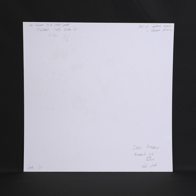 イタリア 2023年 ペーパー Paola Tassetti - 「BOUGANVILLE」 EC-07598