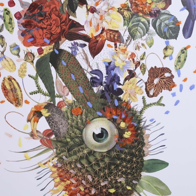 イタリア 2023年 ペーパー Paola Tassetti - 「SUCCULENTA　CUSCINO DELLA NONNA e ROSA (RITRATTO FAMIGLIA) 」 EC-07599