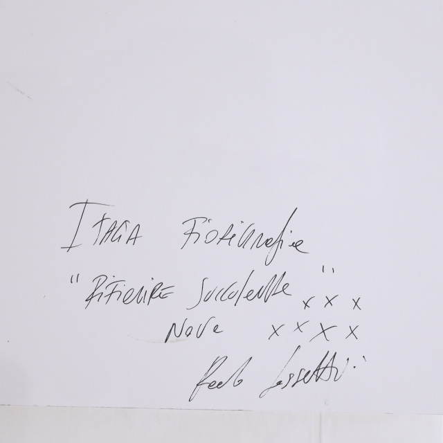 イタリア 2023年 ペーパー Paola Tassetti - 「SUCCULENTA　CUSCINO DELLA NONNA e ROSA (RITRATTO FAMIGLIA) 」 EC-07599